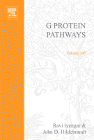 Read more about the article G protein pathways, part C : effector mechanisms (v. 345)